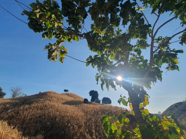 Sabahleyin dağların manzarası