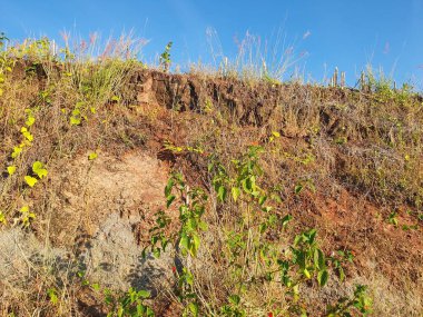 Doğanın güzel manzarası