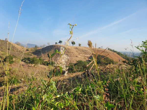 Dağları ve ağaçları olan güzel bir manzara.
