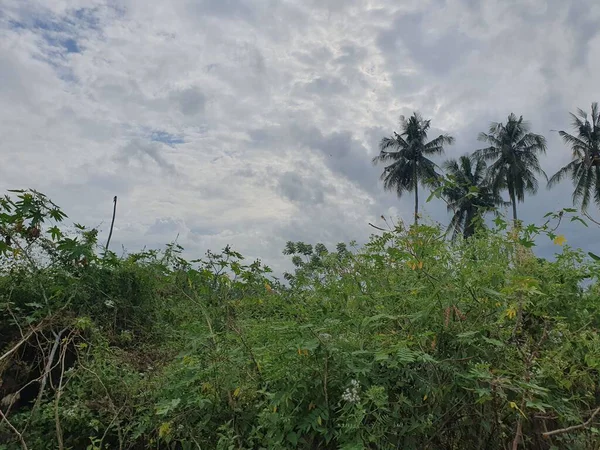 Doğanın güzel manzarası