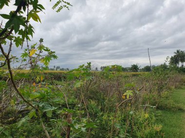 Doğa manzarası çok güzel.