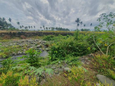 Köydeki nehrin güzel manzarası. 