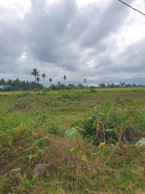 Ağacı ve dağı olan güzel bir manzara.