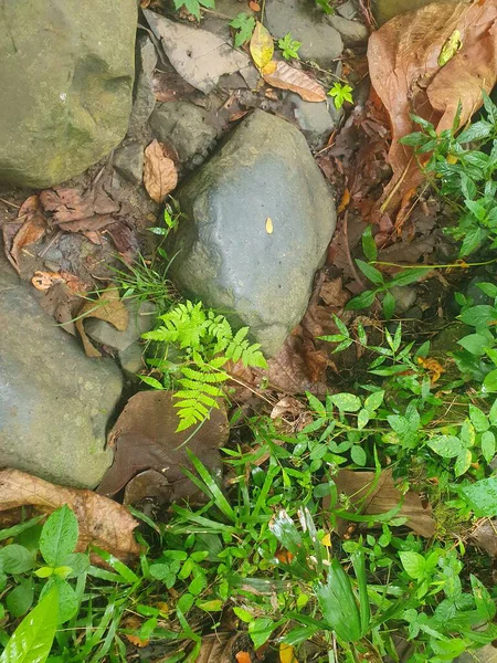 Parkın güzel manzarası