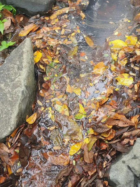 Su dereden akıyor..