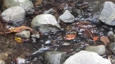 Küçük taşları olan bir nehre yakın çekim.