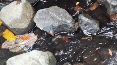 Dağlarda bir şelalenin yakınında