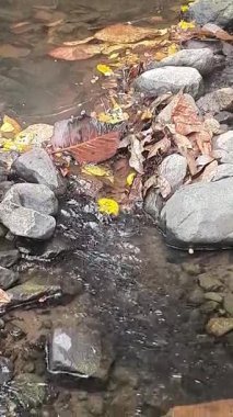 Parktaki kayaların arasından akan su.