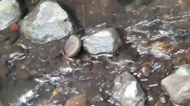 Bir taş yığınına yakın.