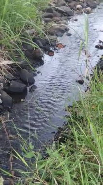 Su kanalı, taş ve yeşil çimen 