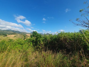 Ağacı ve dağı olan güzel bir manzara.
