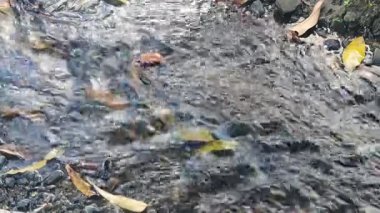 Su akıntısını kapat