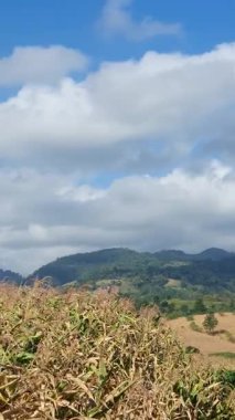 Doğanın güzel manzarası