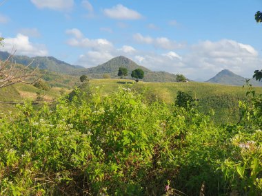 Dağların güzel yeşil manzarası