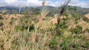 Dağlı güzel bir manzara.