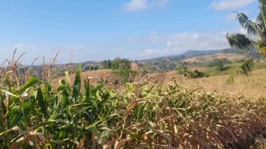 Dağların güzel manzarası