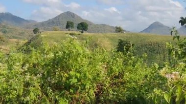 Dağların güzel manzarası