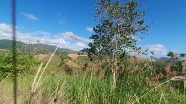 Doğanın güzel manzarası