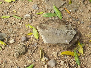 Beton duvar desenli arka plan