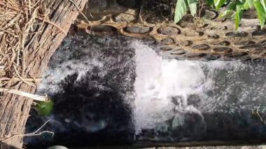 Bahçeye su sıçrıyor.