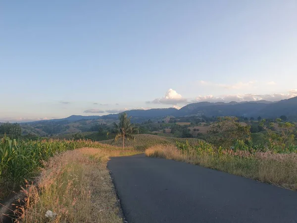 Dağlarda yolu olan güzel bir manzara.