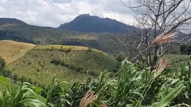 Nehir ve dağ olan güzel bir manzara.