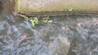 Parktaki su akıntısı