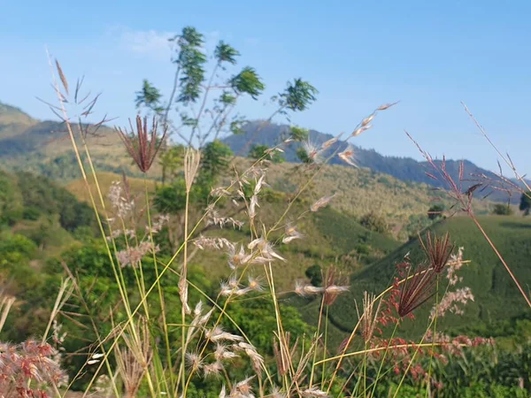 Dağlarda dağları olan güzel bir manzara.