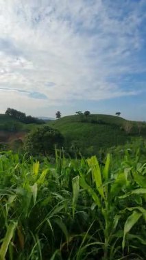 Doğanın güzel manzarası