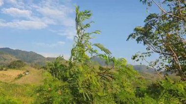 Dağların güzel manzarası