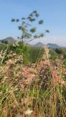 sabah dağ görünümü