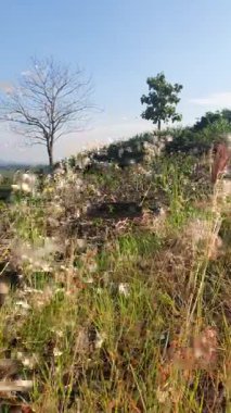 Doğanın güzel manzarası