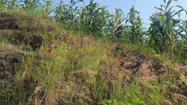 Dağlarda dağları olan güzel bir manzara.