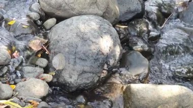 Bir nehre su damlaları