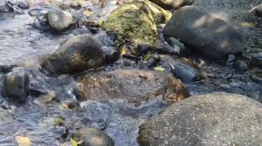 Dağlardaki nehrin güzel manzarası