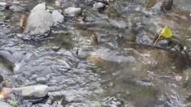 Nehirden akan su, yakın çekim.