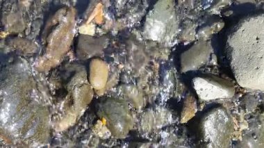 Nehirdeki taşların yakın plan çekimi.