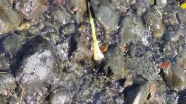 Bir taş yığınına yakın.