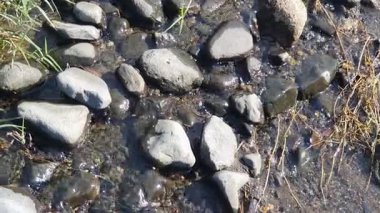 Taşlı ve taşlı su akıntısı.