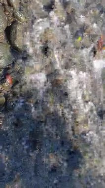 Güzel deniz manzarası