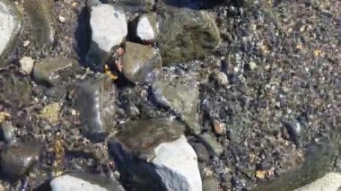 Yazın nehir kıyısında taşlar..