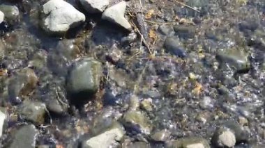 Taşlar ve taşlar nehirde