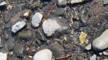 İsrail Eyaleti 'nin nehri.