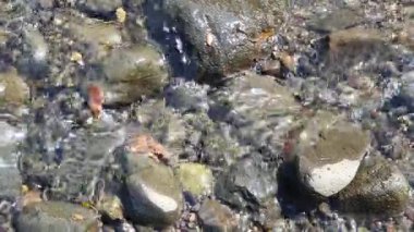 Endonezya 'daki taşları kapatın. 