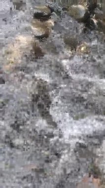 Taşlı ve taşlı su akıntısı