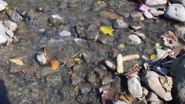 küçük dalgalar ile su yüzeyi