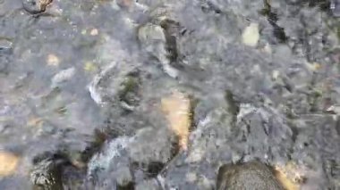 Su damlaları olan güzel nehrin manzarasını kapat.