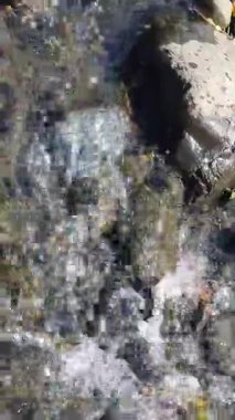 Nehir orman içinde taş olan