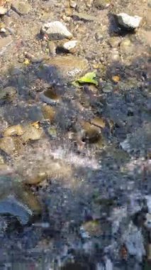 Nehirden akan su, yaklaş.