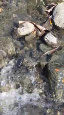 Taşlı ve taşlı su akıntısı